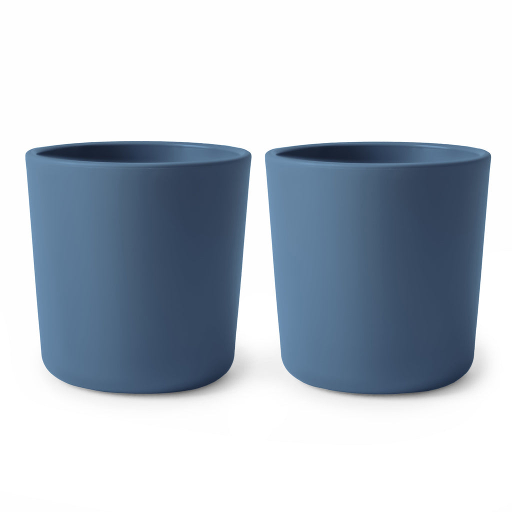 Dinnerware Cup, Set of 2