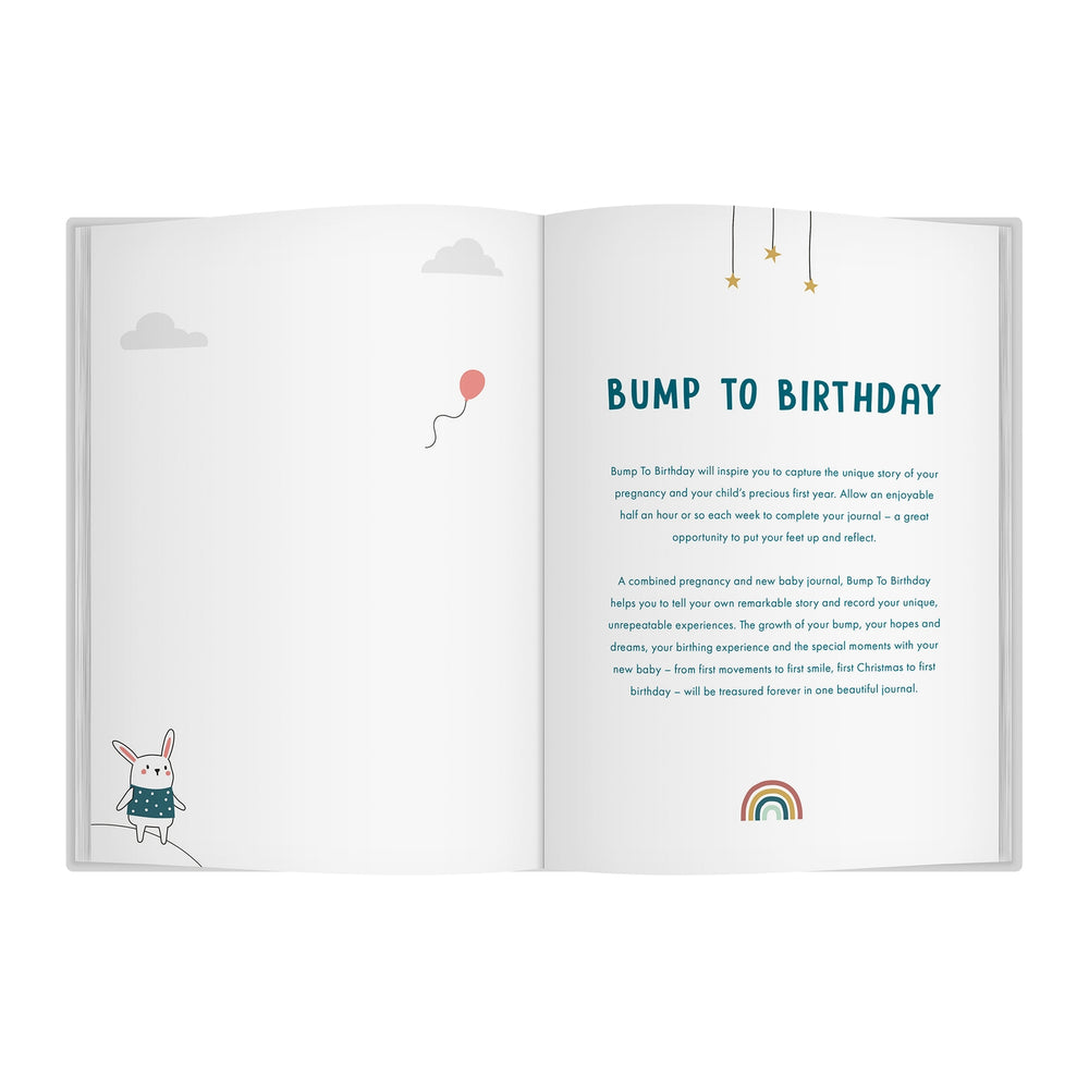 Bump to Birthday, Pregnancy & 1st Year Journal