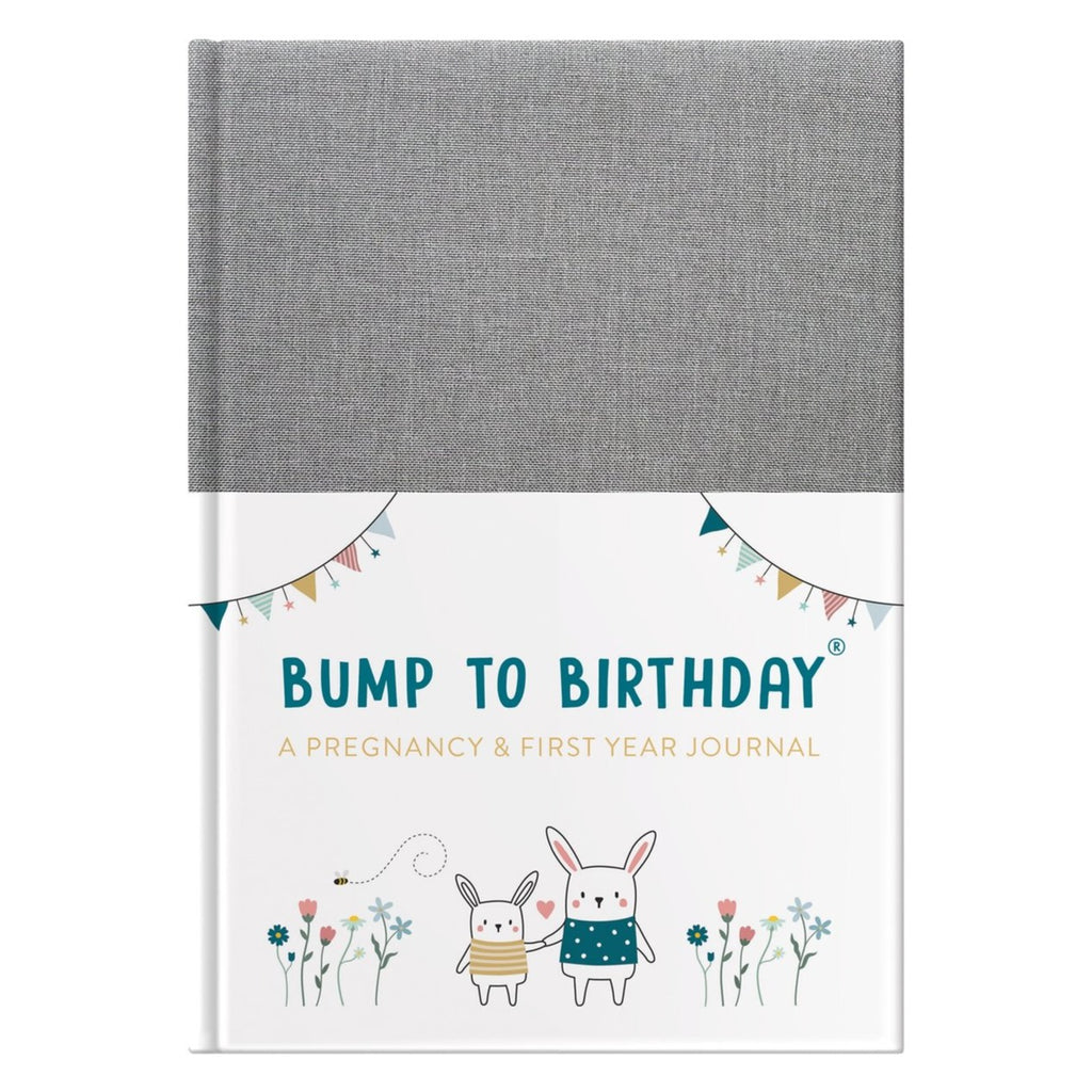 Bump to Birthday, Pregnancy & 1st Year Journal
